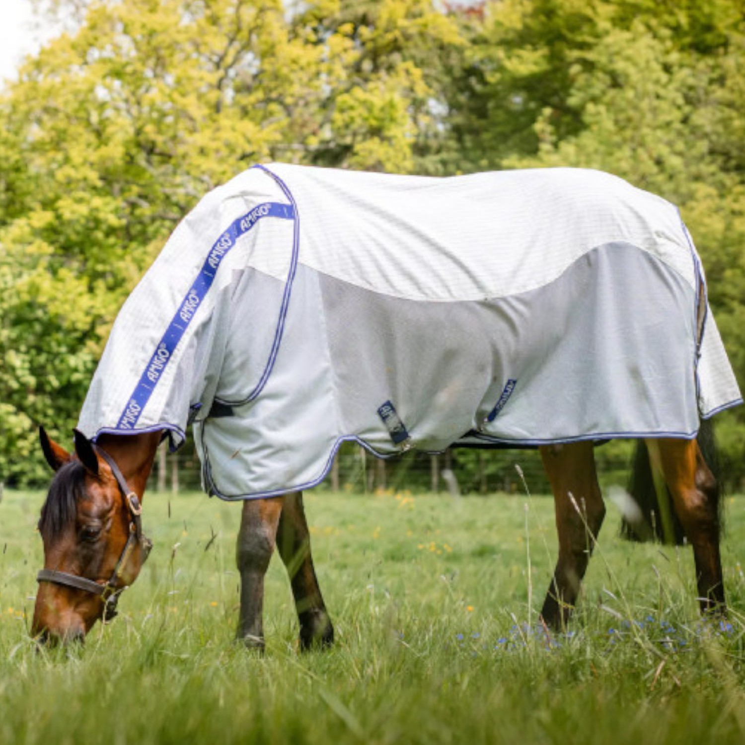 Horseware Amigo Airflow Sommerweidedecke