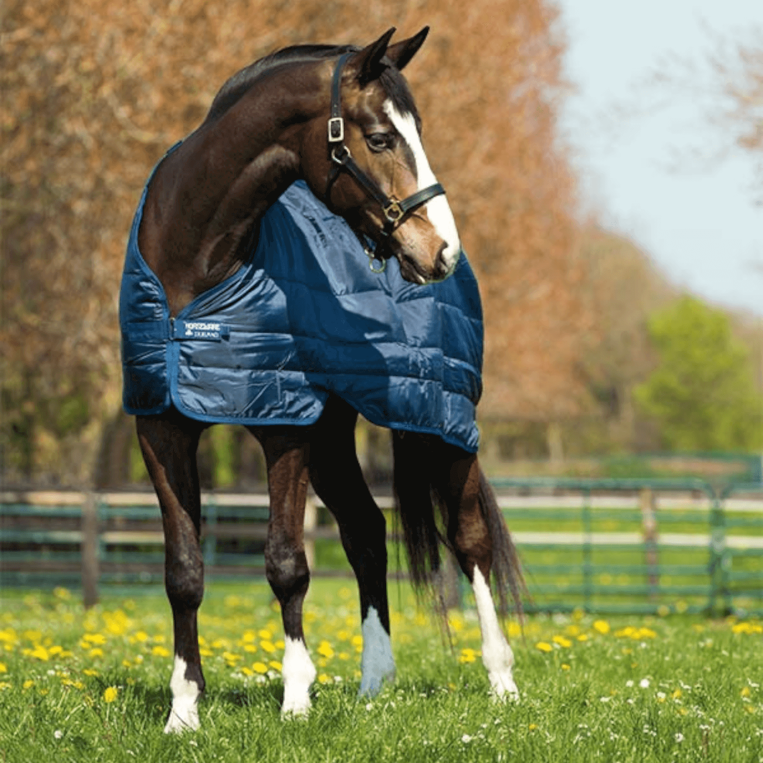 Horseware Liner 100gr.