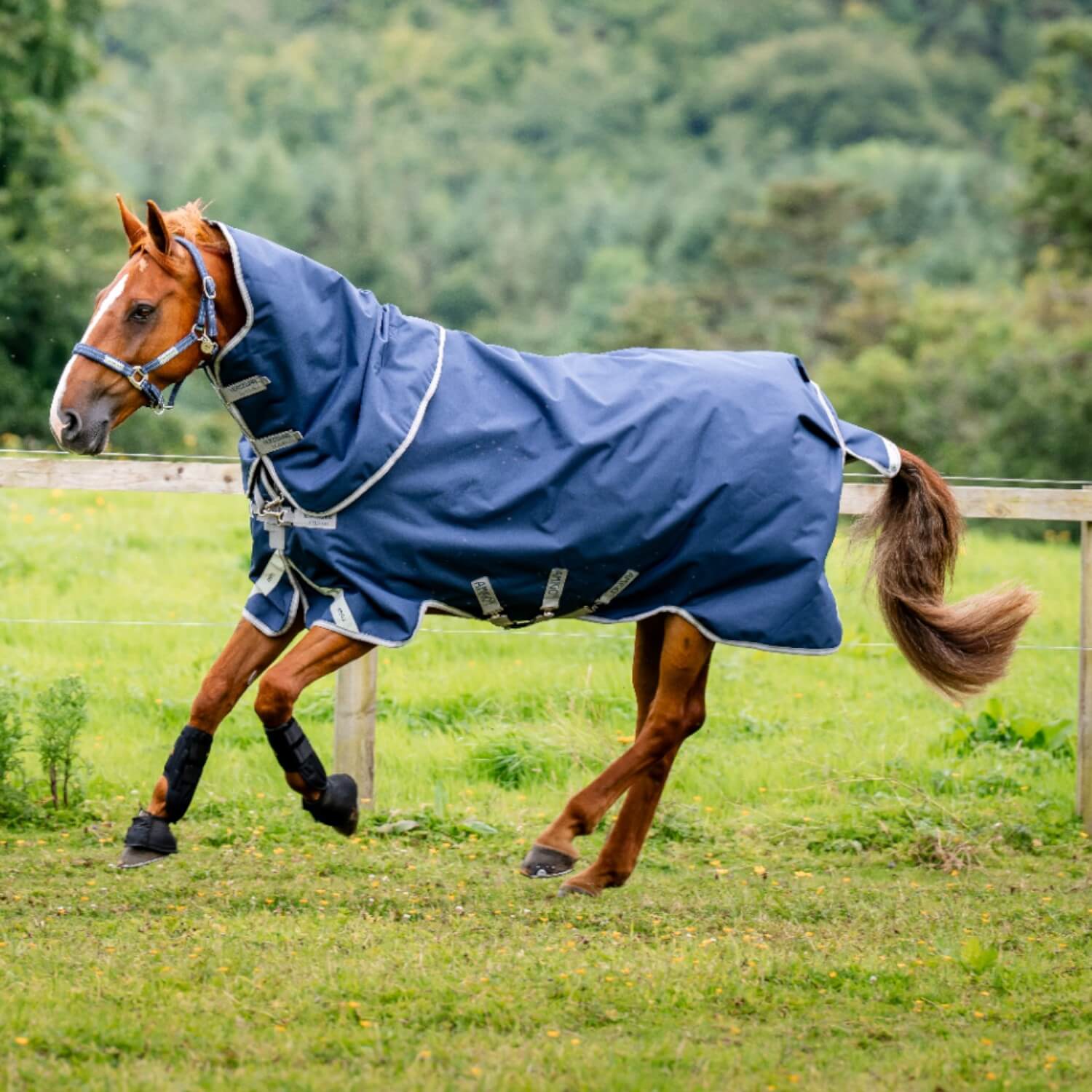 Horseware Amigo 1200D Plus Turnout 100g
