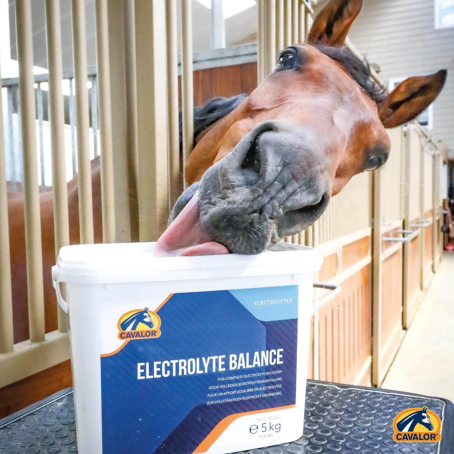 Cavalor Electroliq Balance 800g
