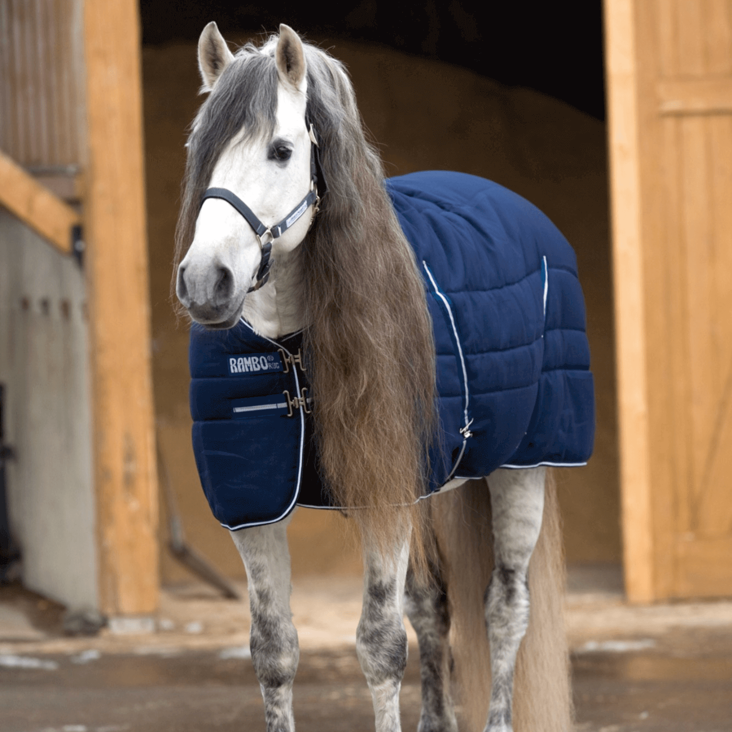 Horseware Rambo Stalldecke 200gr.
