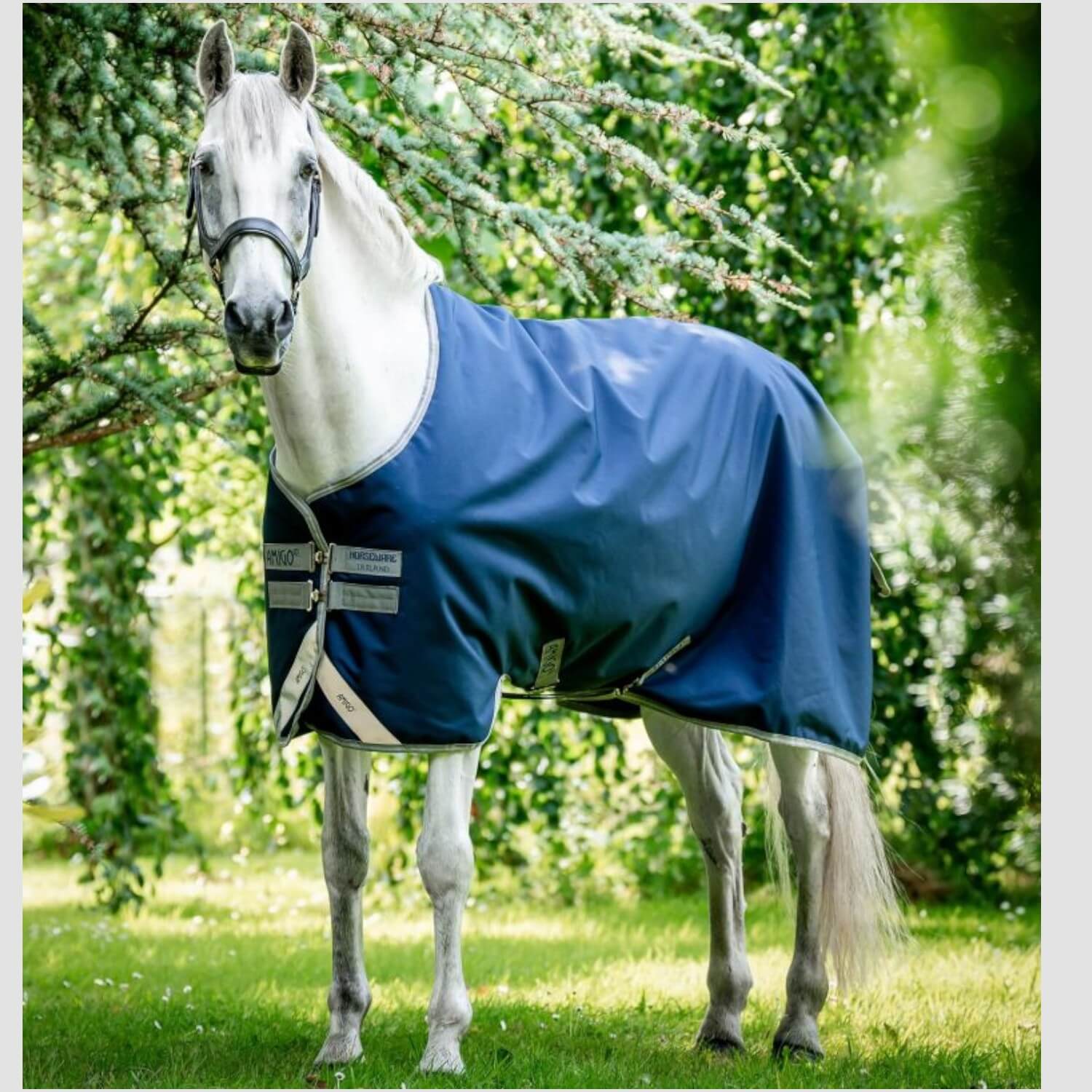 Horseware Weidedecke Amigo Bravo 12 Original 100 g
