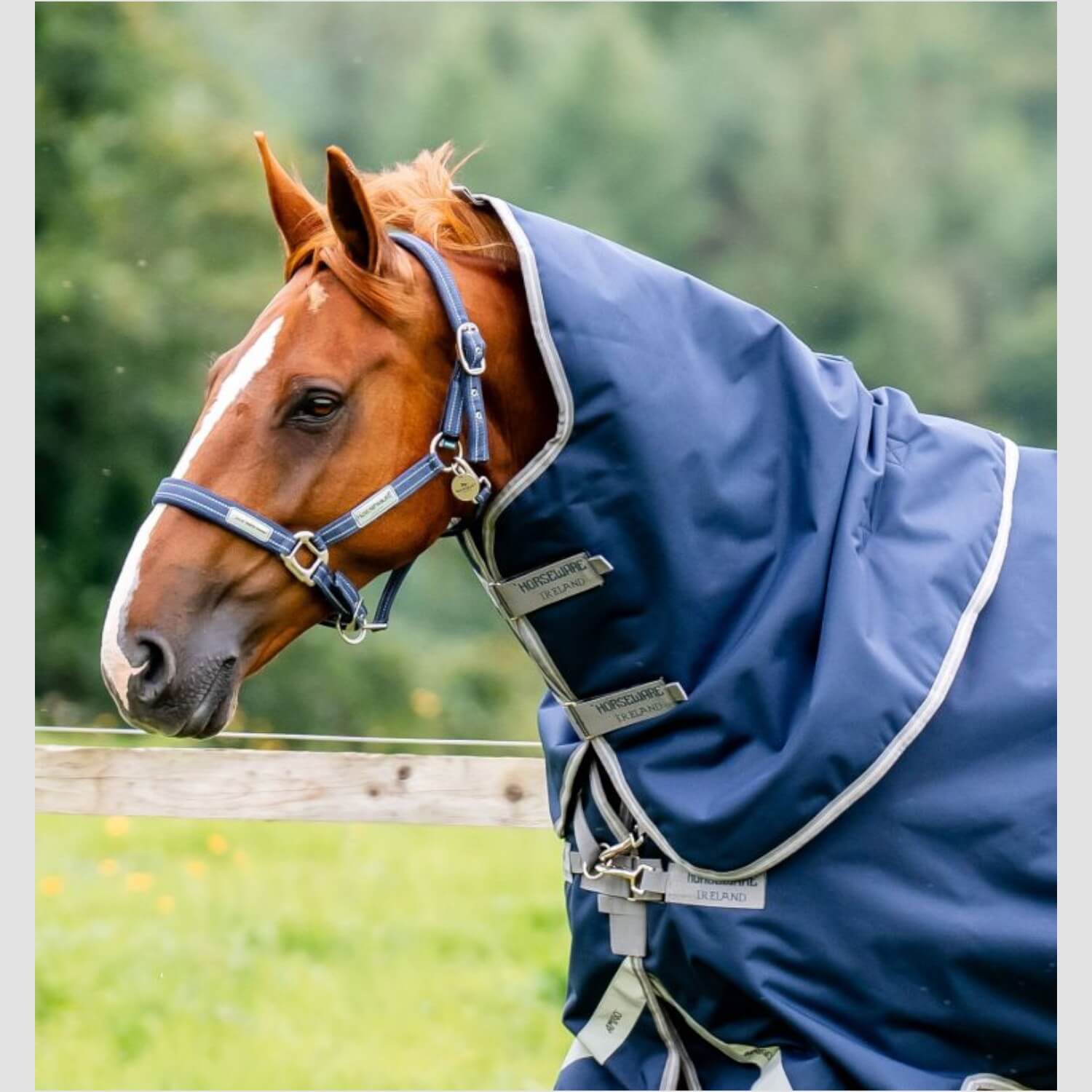 Horseware Amigo Halsteil 0g