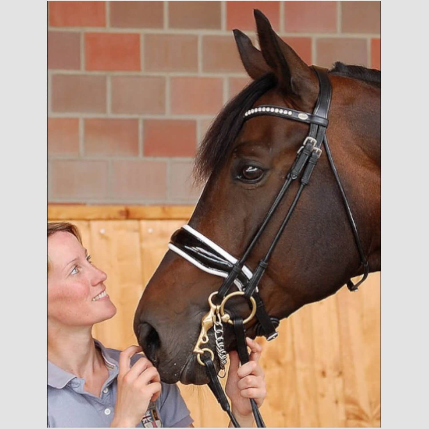 Dyon Kandare Dressage Rundgenäht mit Schwedischem Reithalfter Schwarz/Weiß