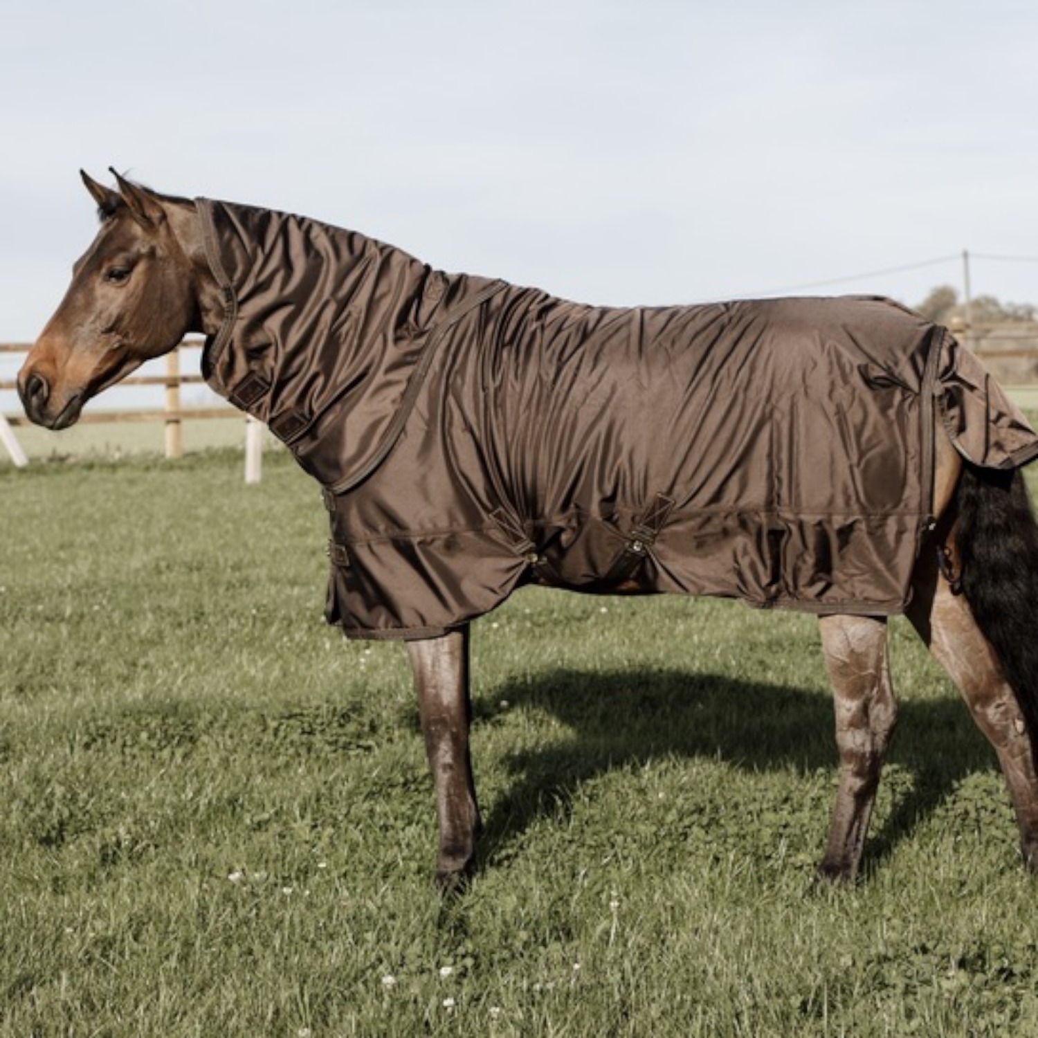Kentucky Weidedecke All Weather Pro 160gr.