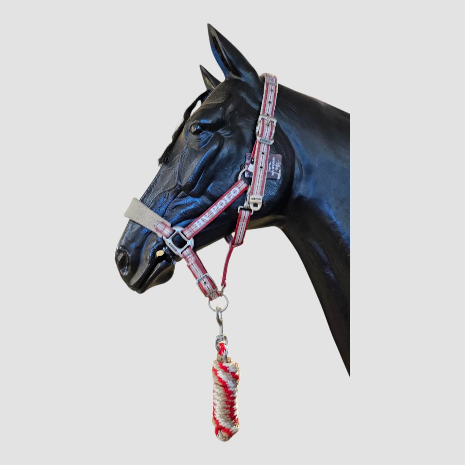 HV Polo Halfter + Strick Favouritas