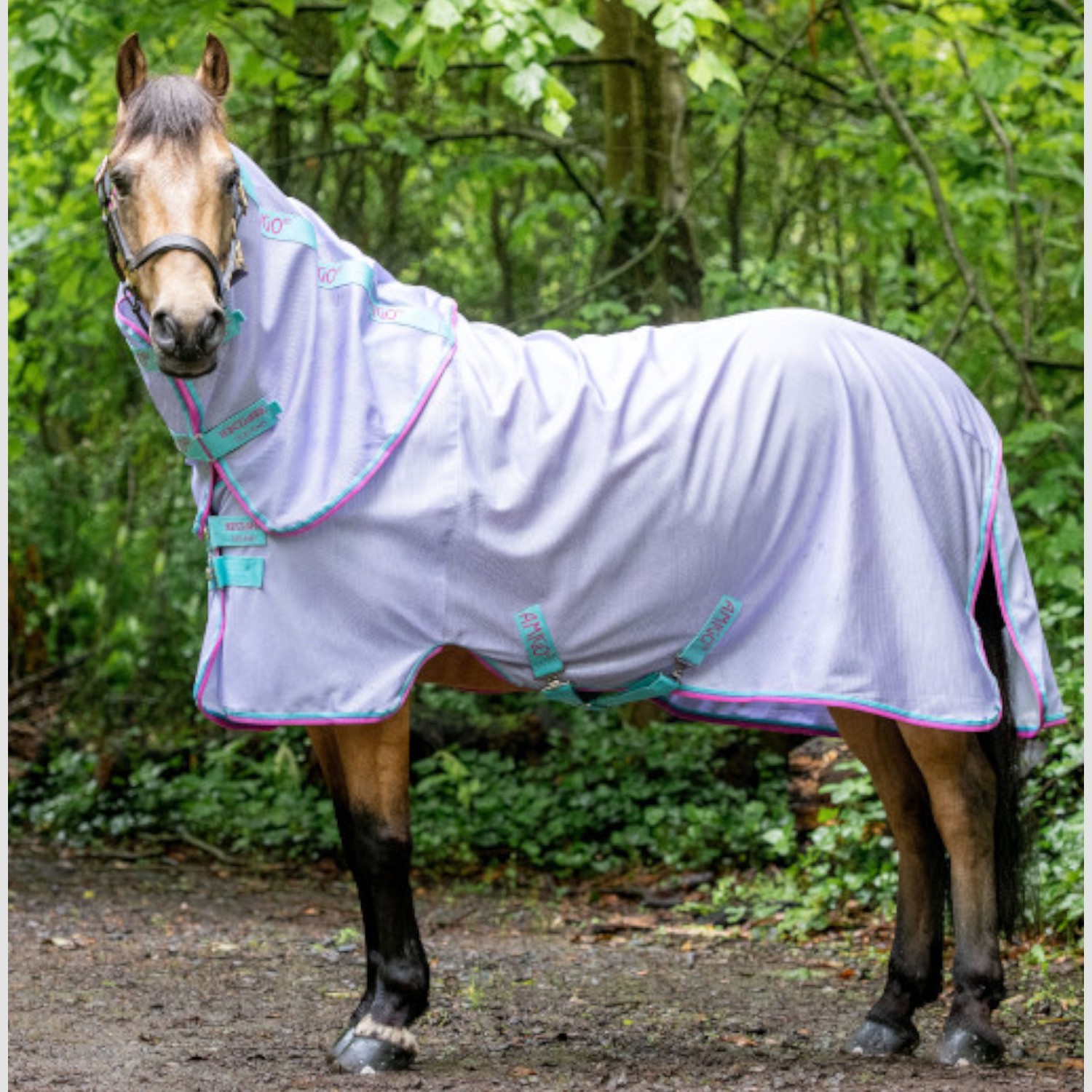 Amigo® Bug Rug Pony in Lavender/Capri