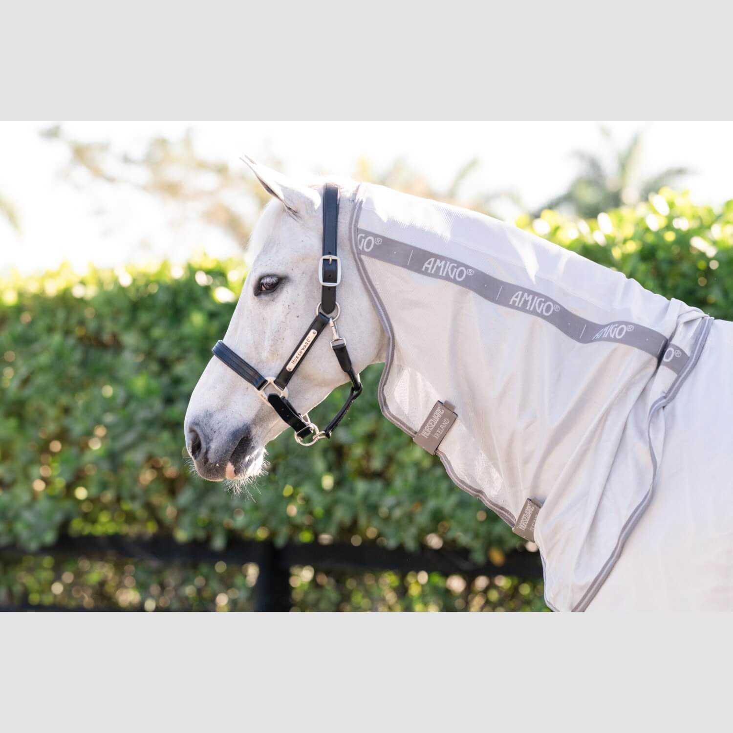 Horseware Amigo Integrated Fly Sheet Silver/Titanium/Grey