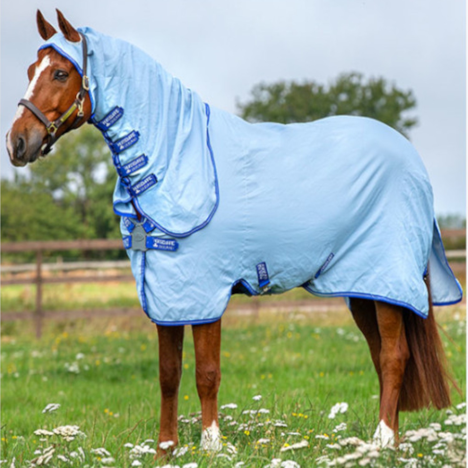 Amigo® Ripstop Hoody Sommerweidedecke in Azur Blue/Strong Blue & Silver