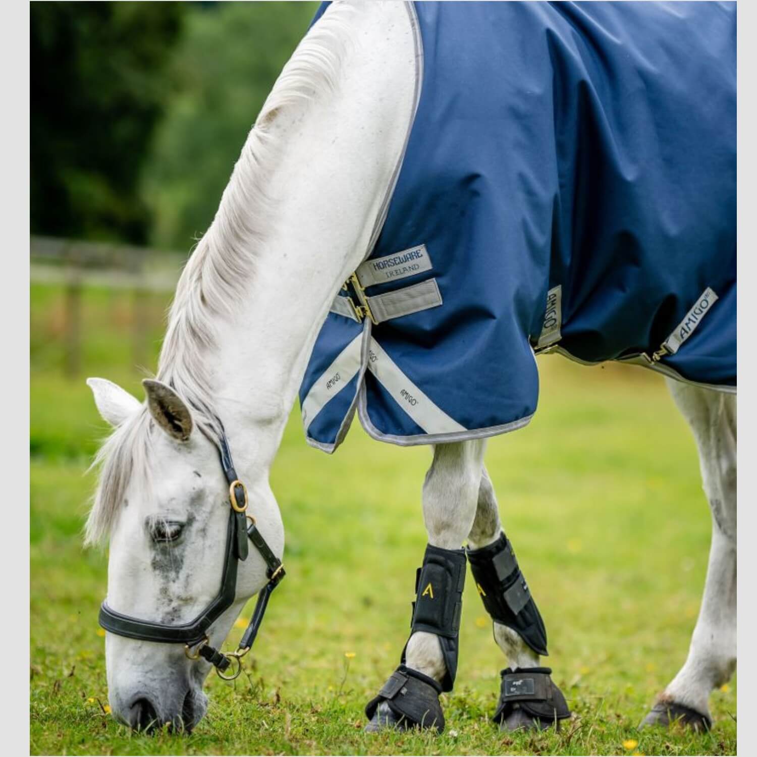Horseware Weidedecke Amigo Bravo 12 Original 100 g