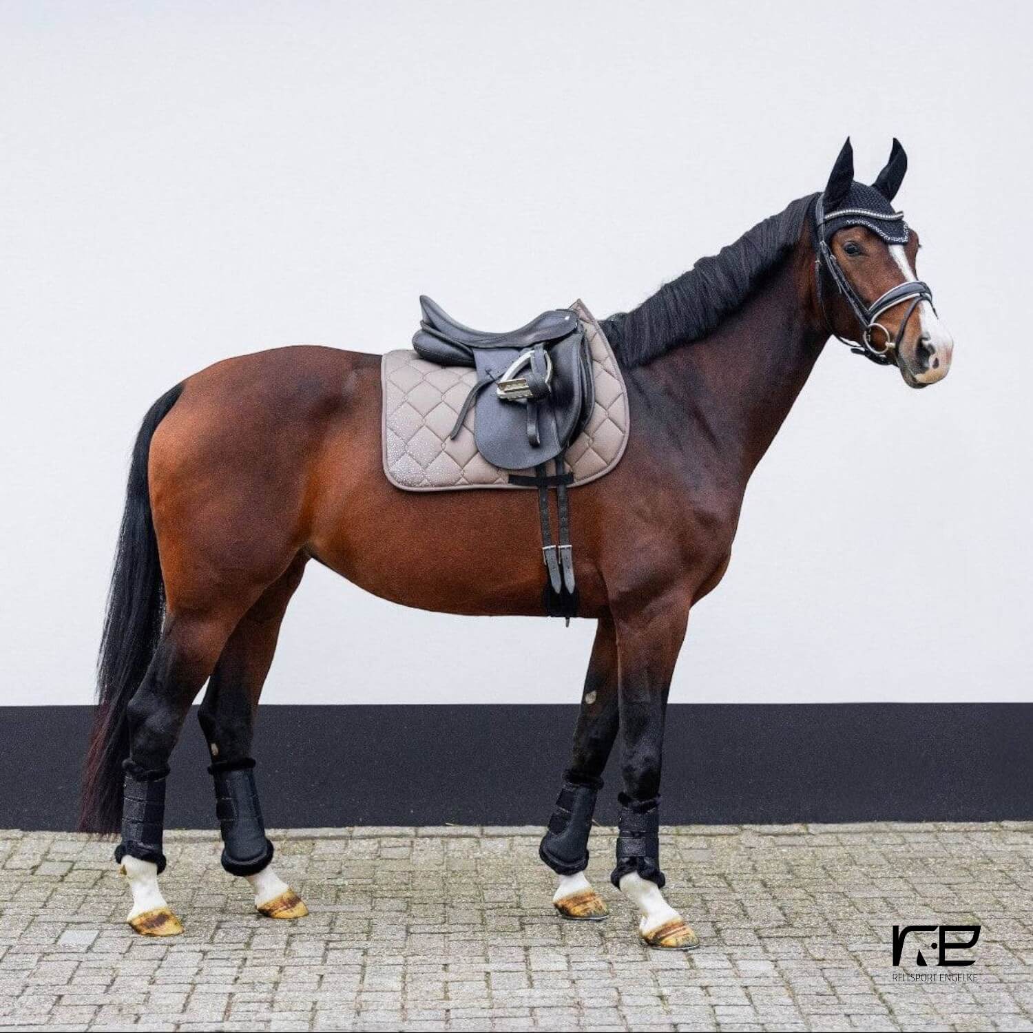 Equest Schabracke Marco Avenue Delight Tundra