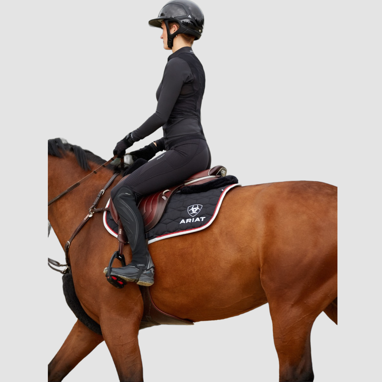 Ariat Ascent Kniegrip Reitleggings