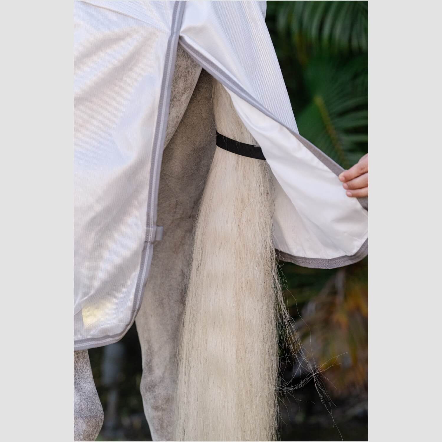 Horseware Amigo Integrated Fly Sheet Silver/Titanium/Grey