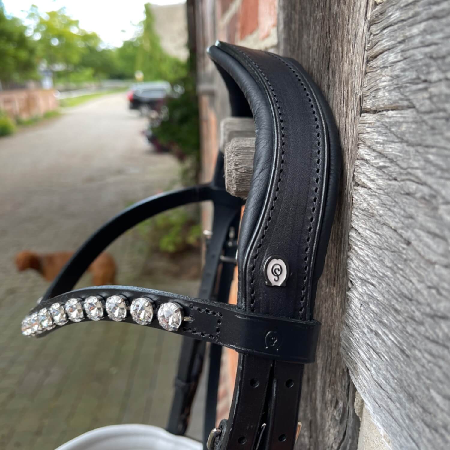 Otto Schumacher Trensenzaum Elegant schwarz Reithalfter mit shiny snake grey und Zierkeder fineline black