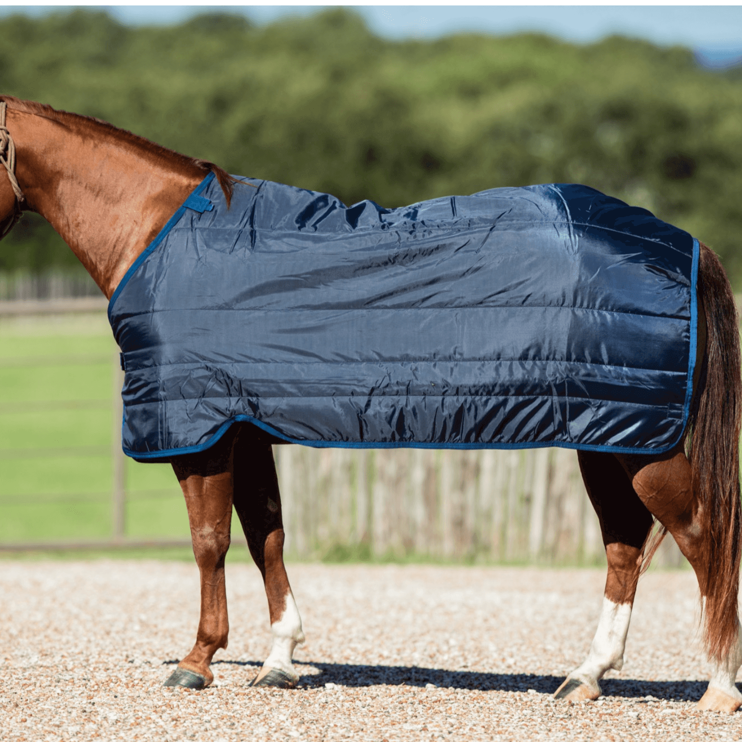 Horseware Ponyliner 100gr.