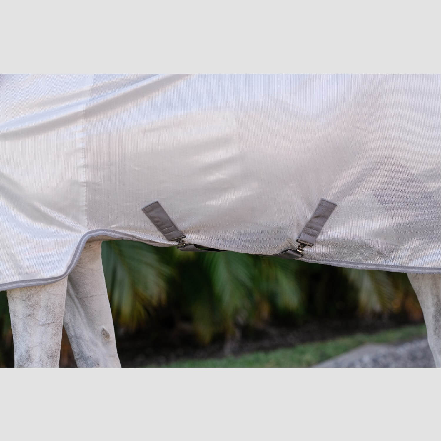 Horseware Amigo Integrated Fly Sheet Silver/Titanium/Grey