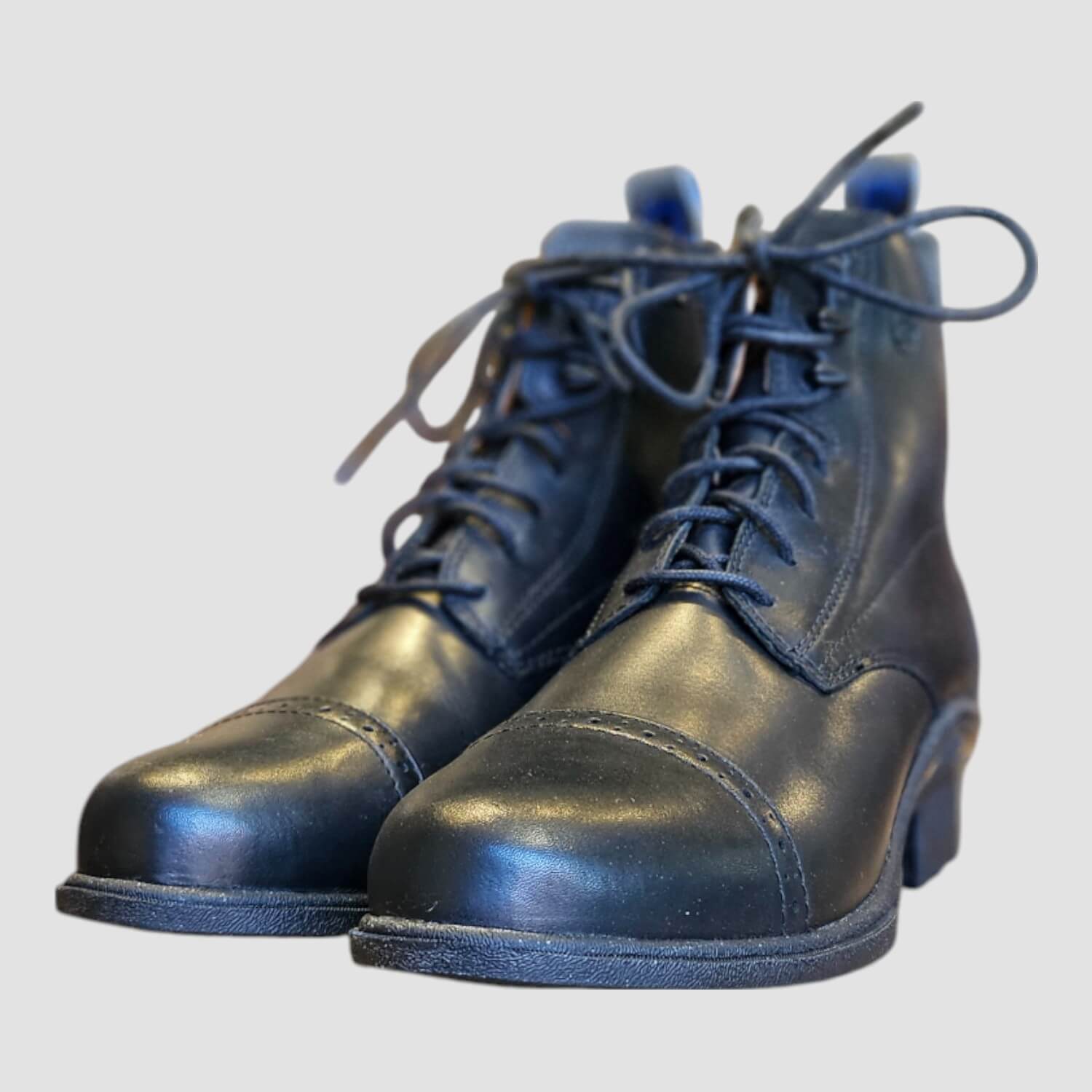 Ariat Performer Pro VX Paddock Black
