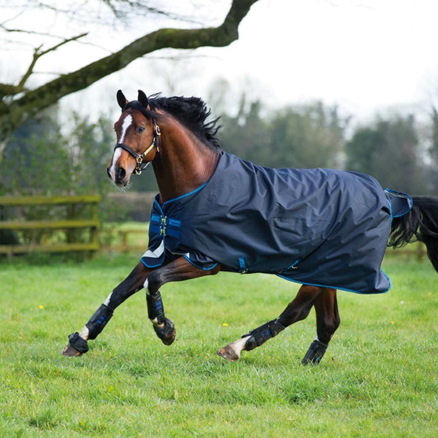 Horseware Weidedecke Amigo Bravo 12 Original 100 g