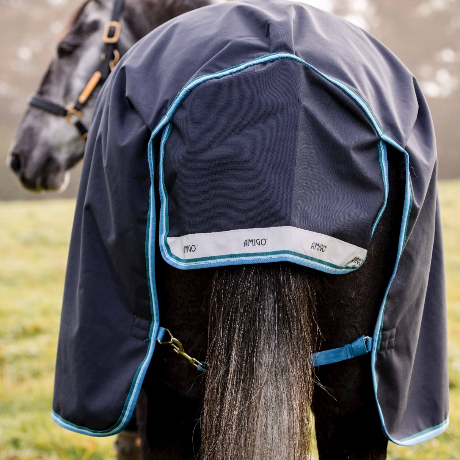 Horseware Weidedecke Amigo Bravo 12 Original 100 g