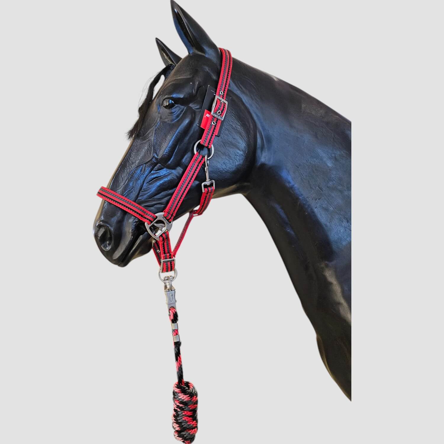 Euro-Star Halfterset Stripe